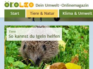 Oekoleo hat Umwelt-Infos und Tipps Ein Igel im Gras